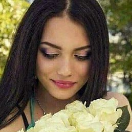 O����, ������, 41 ���