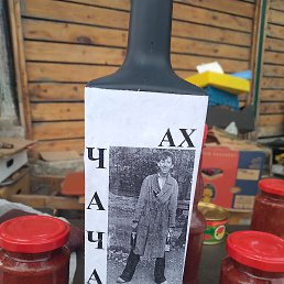 �����, ������, 38 ���