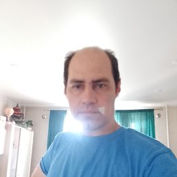 , 38 , 