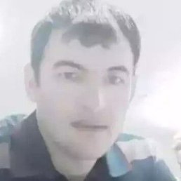 �����, ������, 37 ���