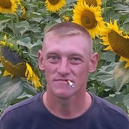 ����, ������ �����, 41 ���