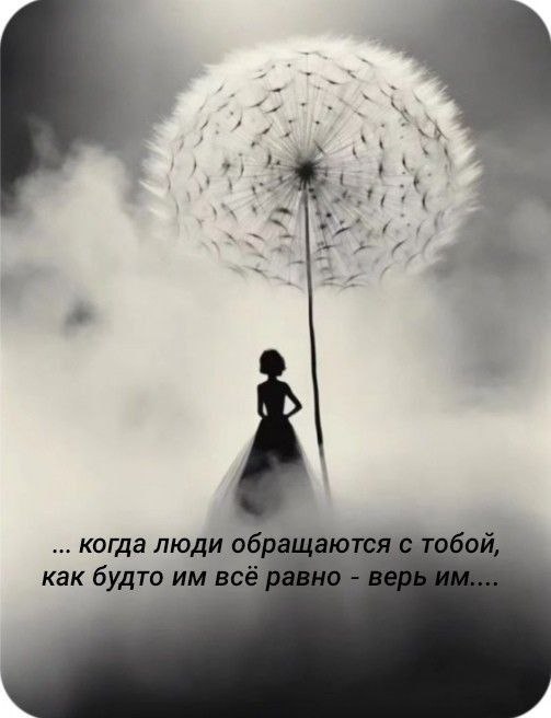  - 6  2025  13:57