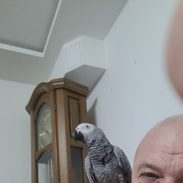 , 49, 