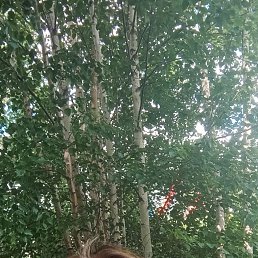, 57, 