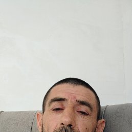 ������, 46 ���, ���������