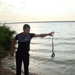 ����, 37 ���, ��������