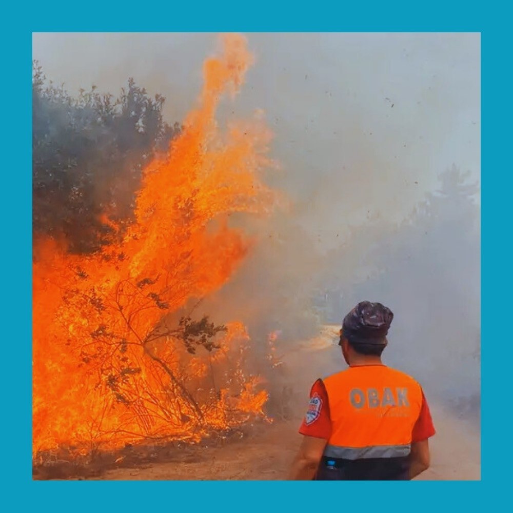 Россияне вернулись в отели Антальи несмотря на пожары.Из-за лесных пожаров туристов временно ... - 5