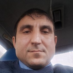 �����, ���������, 43 ����