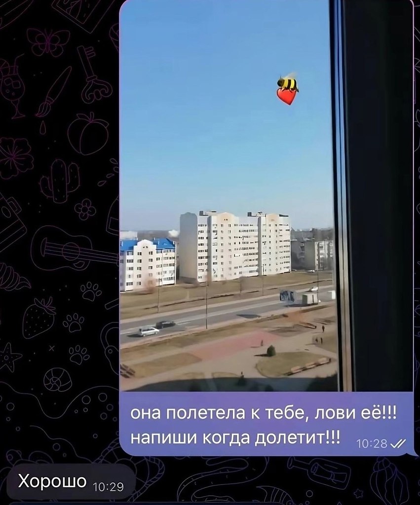    - 6
