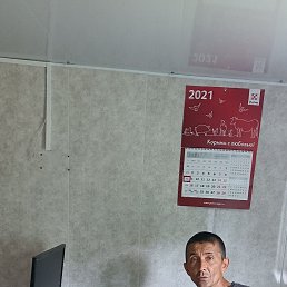 , 49 , 