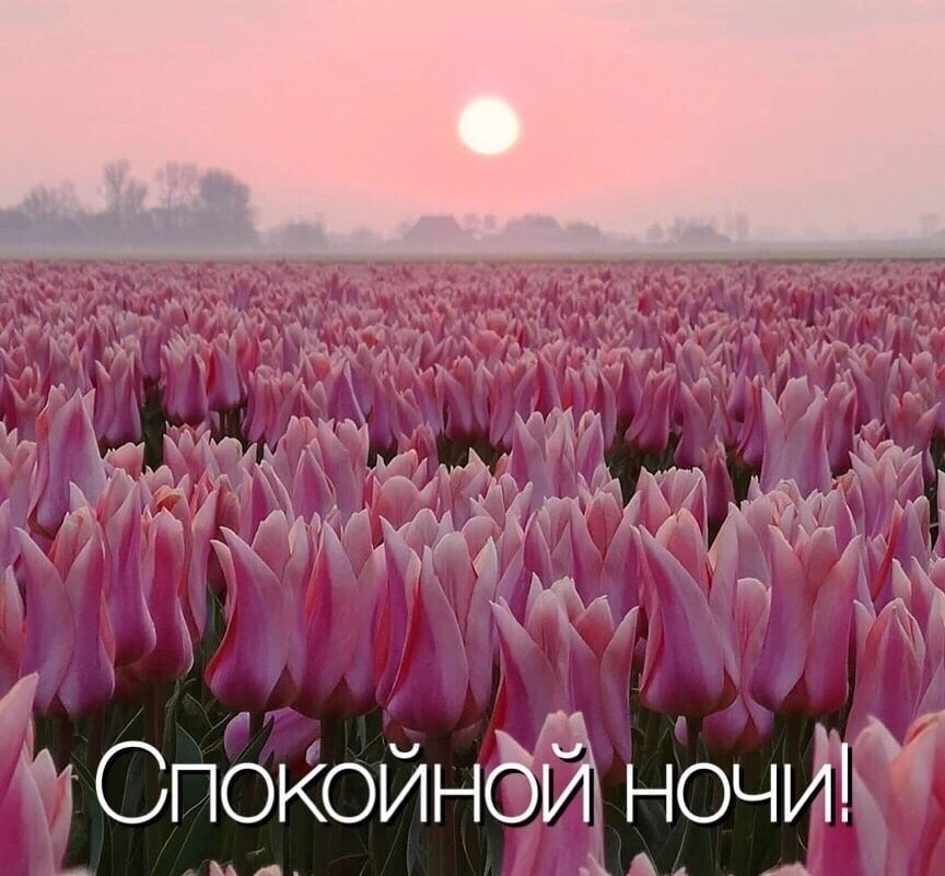   ,    . - 6  2025  18:08