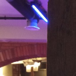 �������, �����������, 42 ����