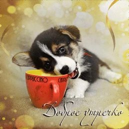 ���� ������, ������, 55 ��� - ��������� 20 ������ 2023