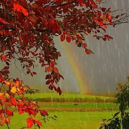 ���, ������������