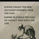 ���� �����, ������, 44 ���� - ��������� 8 ������� 2025