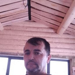 �����, �����-���������, 55 ���