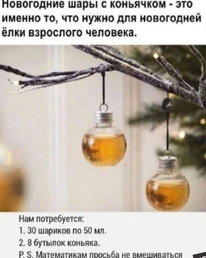  - 8  2024  01:13