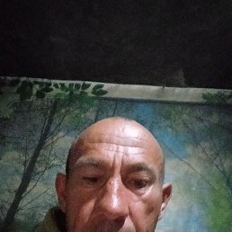 , 48 , 