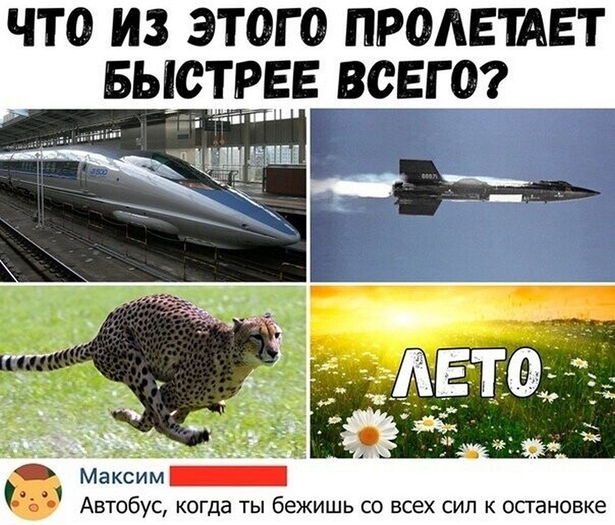 ? ,  ! - 11  2025  20:49