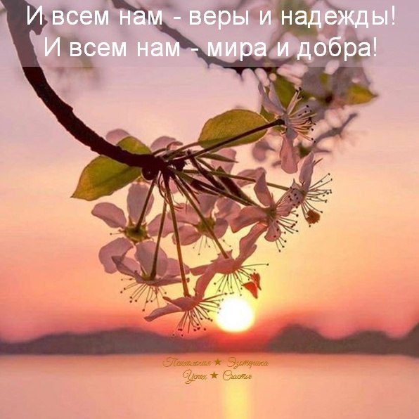   - 3  2025  14:46