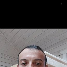 , 37, 