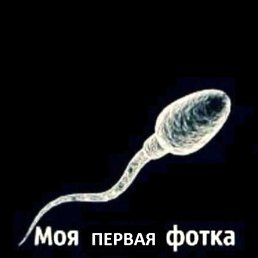 �������, ���������, 51 ���