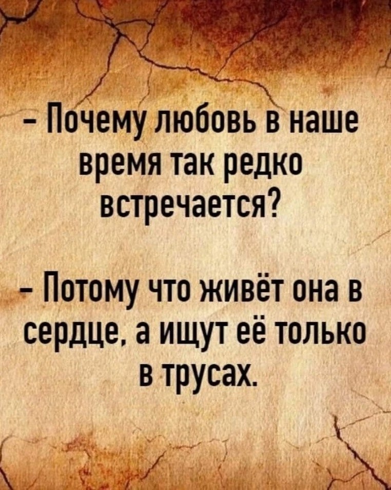  - 21  2024  09:31