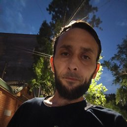 , 37, 
