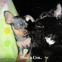 ���� �� ��������!!!!!!!!!!!!!!!!!!!!!!!!!, ������ - ��������� 26 ������ 2025 � ������ ���� ����������