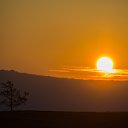 ���� ������, �������, 54 ���� - ��������� 20 ������ 2025 � ������ �������