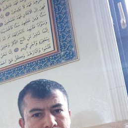 , 37, 