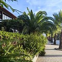  Galina,  -  19  2025    