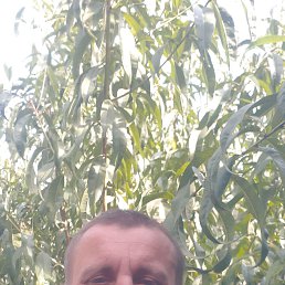  , --, 42  -  18  2025