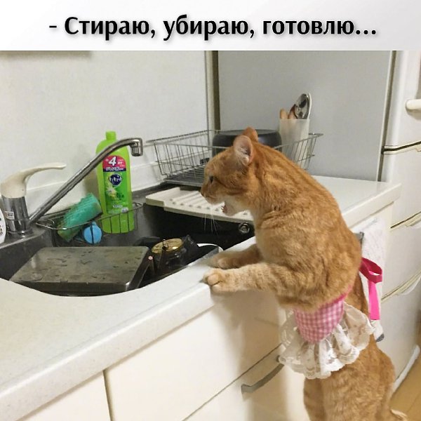     ? - 2