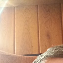 ��������, ������, 49 ���