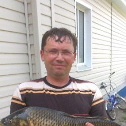, 55, 