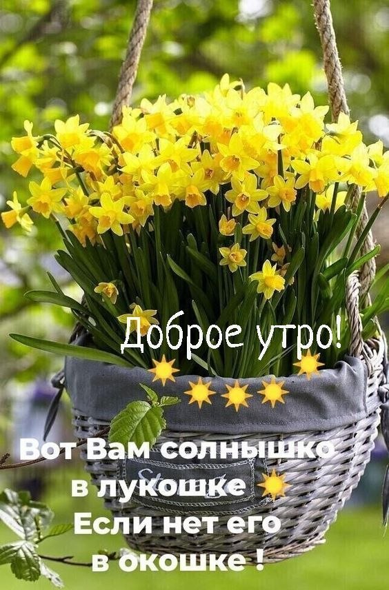   ,    . - 10  2025  00:04 - 2