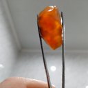  , , 48  -  5  2023   *