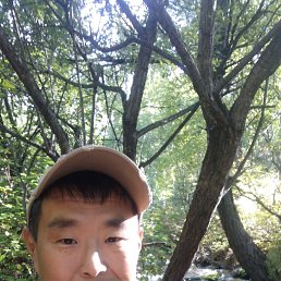 , 41, 