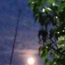 ���� �����, ���������, 50 ��� - ��������� 5 ������� 2025 � ������ �������� �������..�