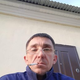 ������, 48 ���, ������