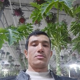 Alijon Qaxxorov, 30 ���, ���������