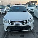 ���� �������, �����������, 43 ���� - ��������� 31 ������ 2024 � ������ ���� ����������