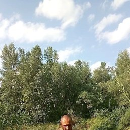 ������, ������, 46 ���