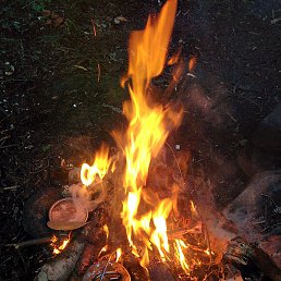 �lvaro, ��������� �����
