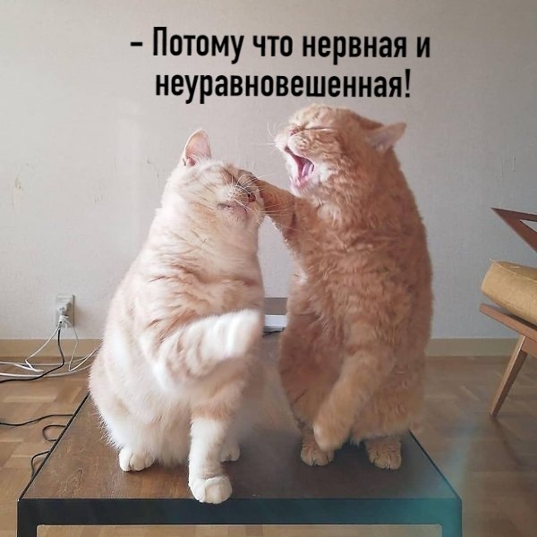       - 3  2025  13:03 - 4