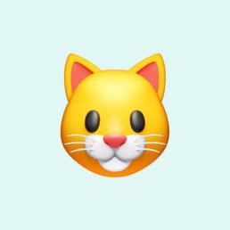 �����, ���������, 66 ���