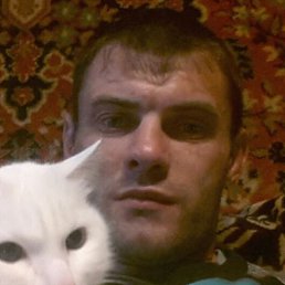 ���� �����, ����, 40 ���