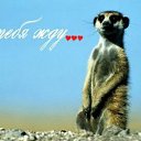 ���� �����, ����, 49 ��� - ��������� 15 �������� 2024 � ������ ������ ��������