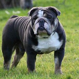 �, ������, 37 ���